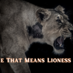 A Complete Understanding Of Name That Means Lioness NYT