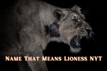 A Complete Understanding Of Name That Means Lioness NYT