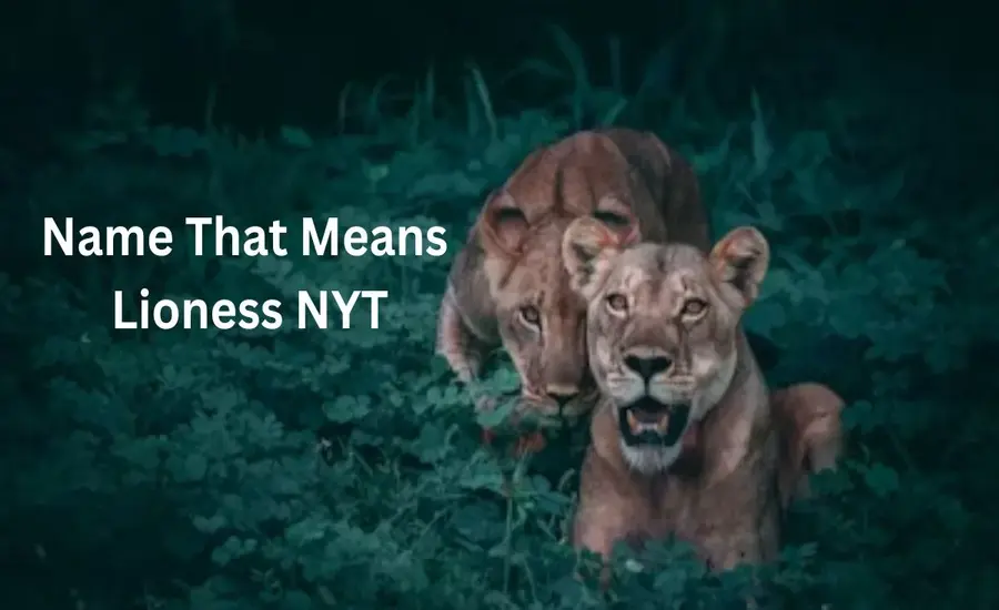 A Complete Understanding Of Name That Means Lioness NYT