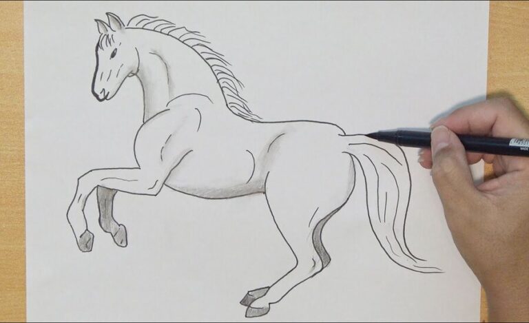 Drawing:v74uyhgg9tq= horse – Mastering Equine Artistry: A Comprehensive Guide