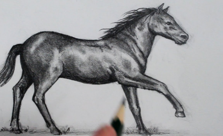 Drawingv74uyhgg9tq= horse – Mastering Equine Artistry A Comprehensive Guide