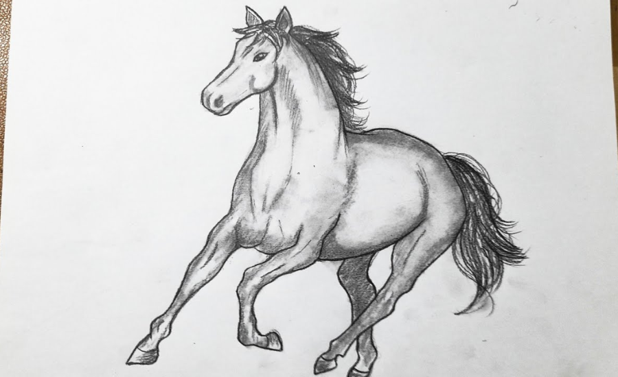 Drawingv74uyhgg9tq= horse – Mastering Equine Artistry A Comprehensive Guide