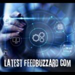 Latest Feedbuzzard.com - All You Need to Know (2024)