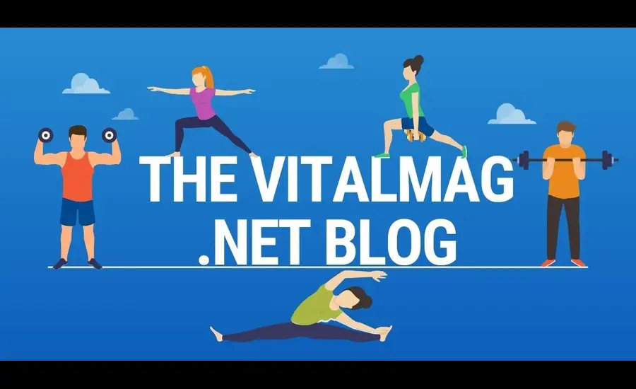 Why the Vital-Mag.Net Blog Is Getting Hype in 2024