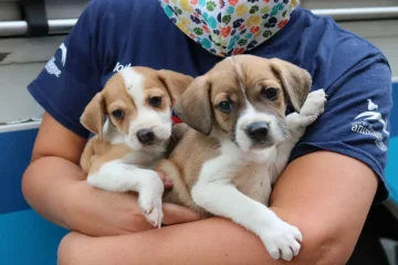 175 Dogs Rescued from Hoarders in Slidell, Mississippi (2011)