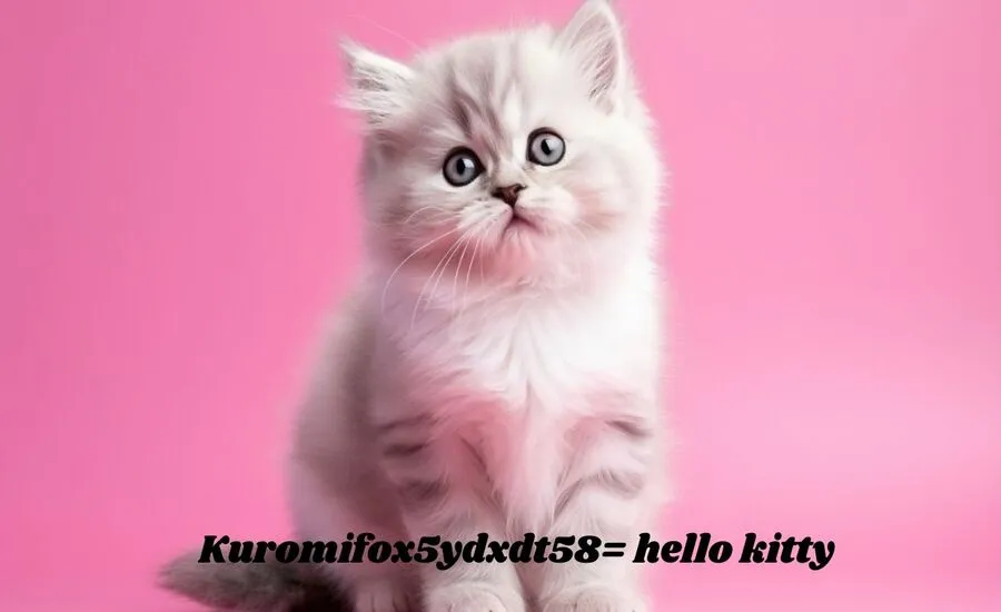 Kuromifox5ydxdt58= hello kitty - A Riveting Character in the Hello Kitty Universe