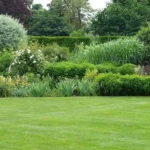 The Art of Creating a Lush Lawn Tips and Techniques for Every Homeownerner