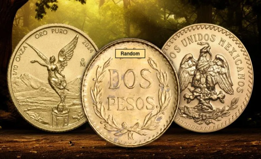 The Historical Significance of Mexican Gold Coins A Collector's Guide