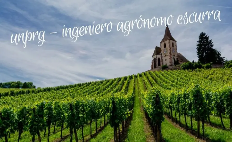 Unprg - Ingeniero Agrónomo Escurra Clso Agriculture Achievements & More