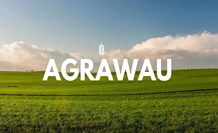 Agrawau Features, Benefits, and Future Prospects