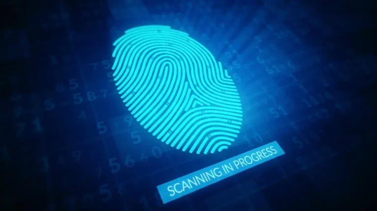 Beyond the Password: How bclub login is Shaping the Future of Digital Identity